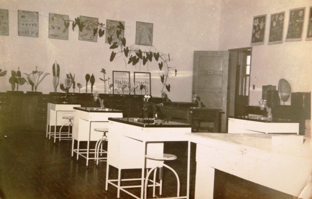 Acervo - Coleção de fotografias - Sala de botânica da EAUFBA, 1970